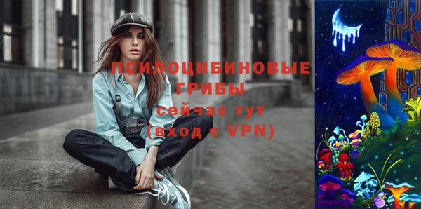 эйфоретик Алексеевка