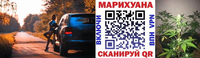 Марихуана гибрид  Кола 